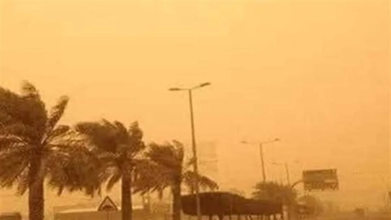 تحذير للسائقين.. ضباب كثيف يحجب الرؤية في القاهرة والمحافظات وسط تنبيهات مرورية شديدة